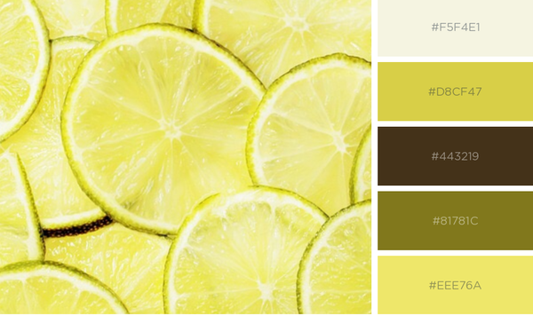 Slices of lemon