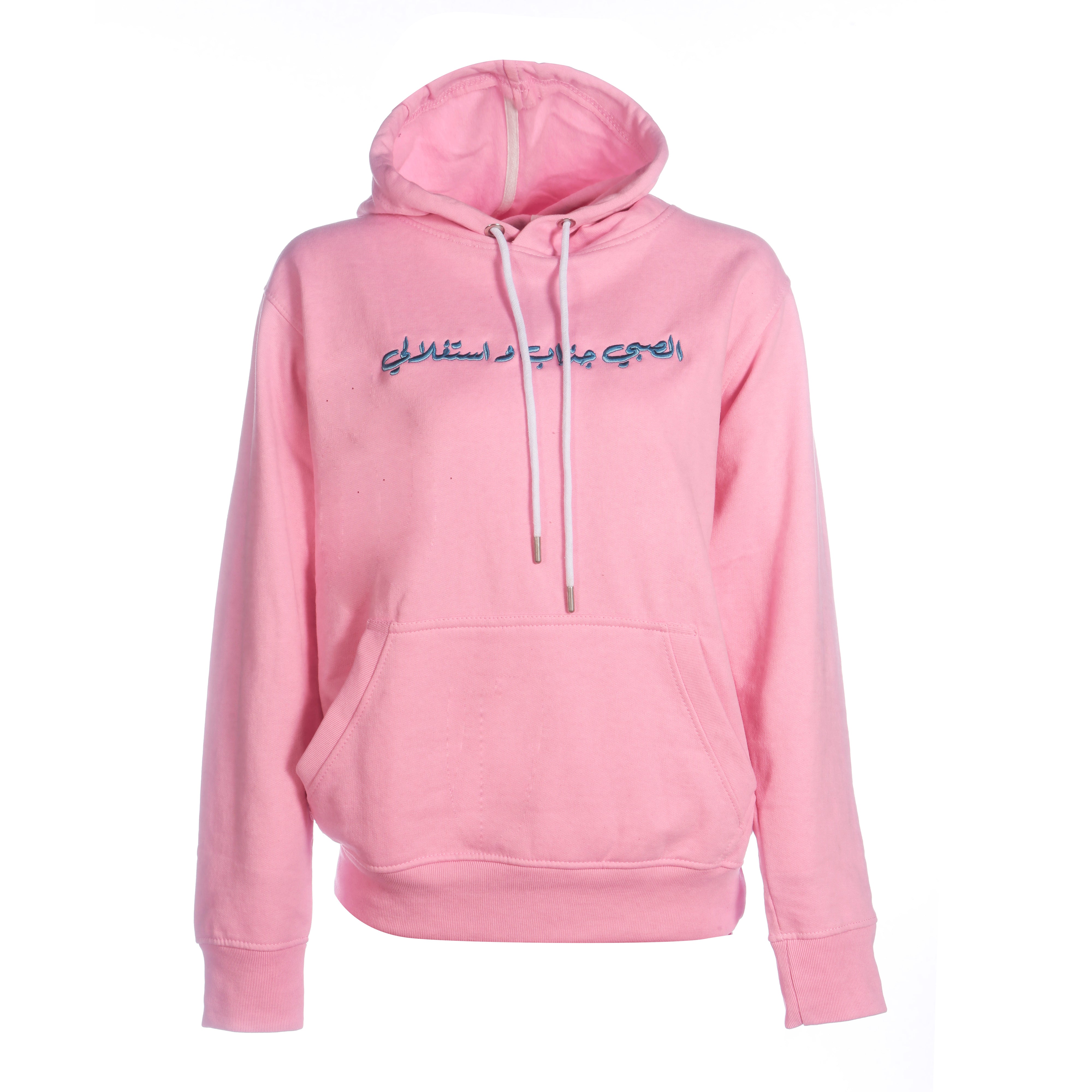 pseudio champion hoodie