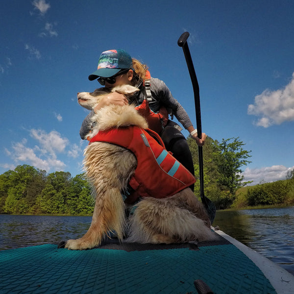 Dog SUP Paddle Hala