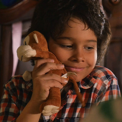 Boy with his stuffed teddy kits