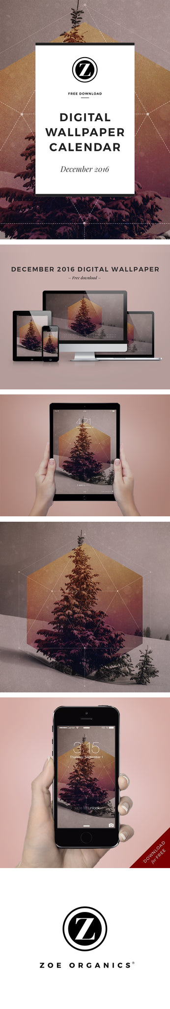 Zoe Organics Digital Wallpaper: December 2016  |  Free download