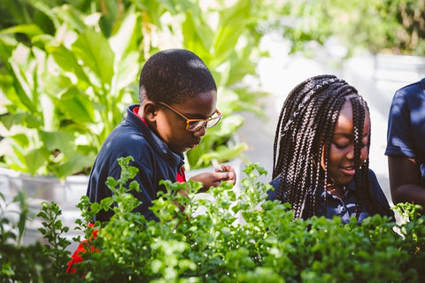 School children in a garden at The Wynwood Yard during a Food Justice field trip