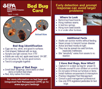 Bedbug Tip Card for Offices