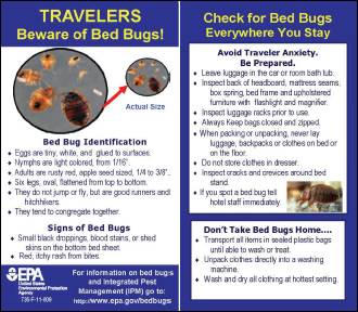 Bedbug Tip Card for Travelers