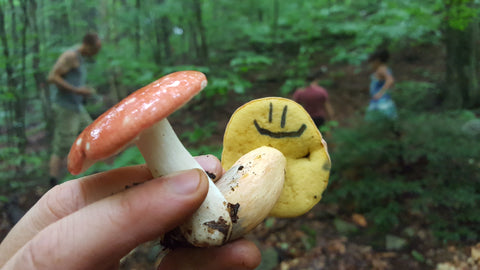 Catskill Fungi mushroom walk showing people foraging and holding mushrooms with smiley face carved into one mushroom