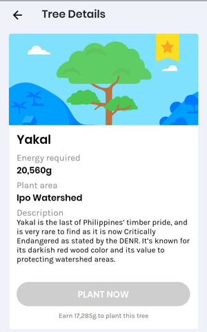 gforest-yakal-tree