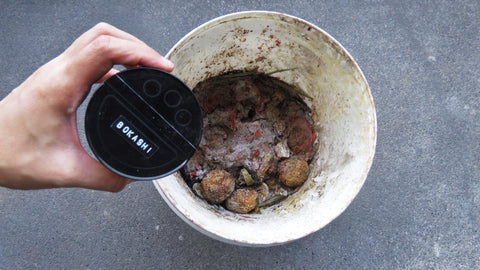 white mould in bokashi bucket