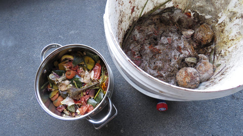 kitchen scraps and bokashi bucket