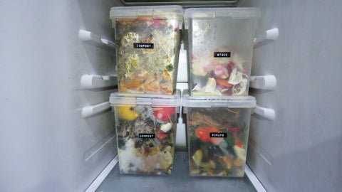 kitchen scraps stored in freezer