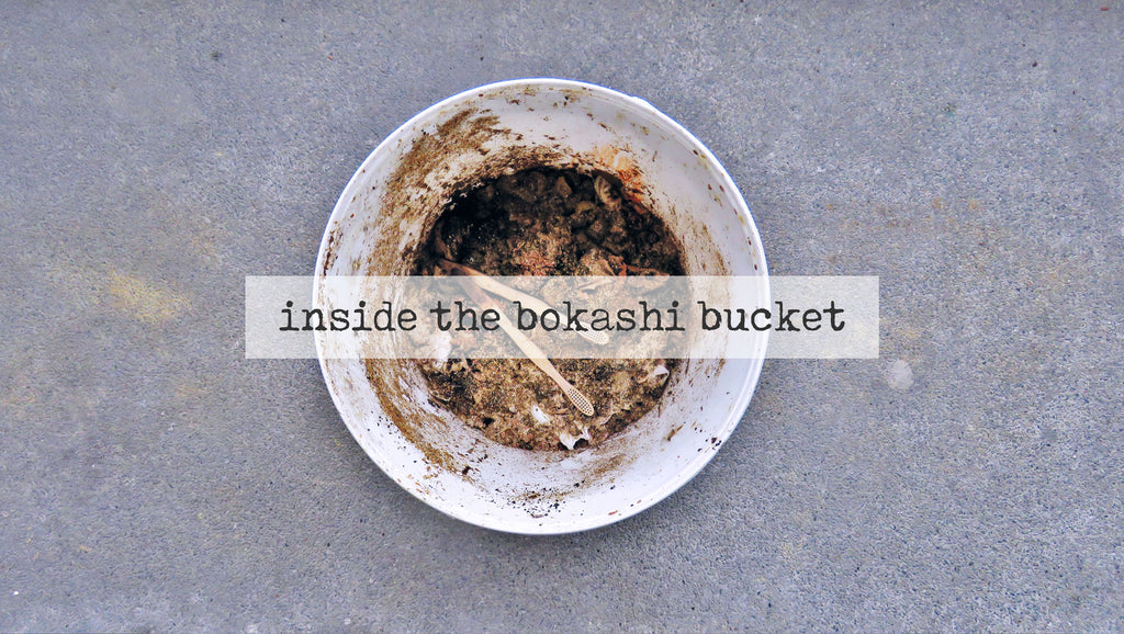 food waste inside a bokashi bucket