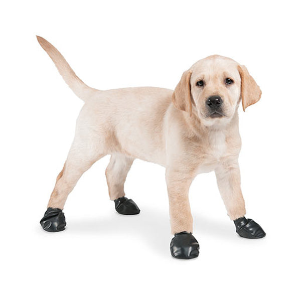 pawz rubber dog boots