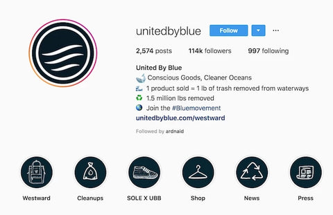 UnitedbyBlue Instagram Story