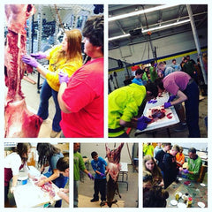 A collage of images where a class of students skin and dress a freshly harvested deer.