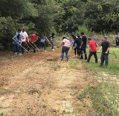 Students work to clear vegetation in preparation of planting a wildlife food plot.