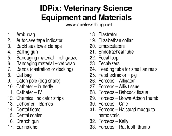 veterinary-tools-and-equipment-id-powerpoint-downloads-one-less-thing
