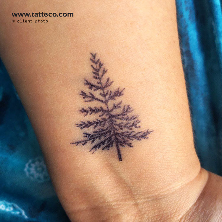 zin Peave Reproduceren Pine Tree Semi-Permanent Tattoo - Set of 2 – Tatteco
