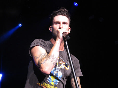 Adam Levine is a Famous Oriental Rug Lover-Persian Rug Toronto