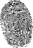 biometric safes fingerprint