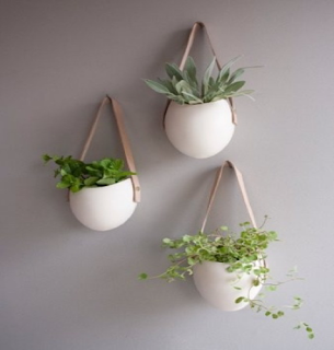 Leather Plant Hangers