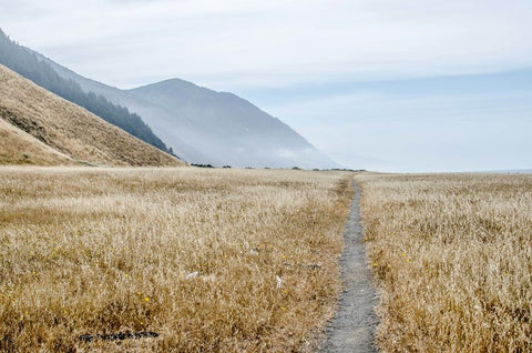 Lost coast trails