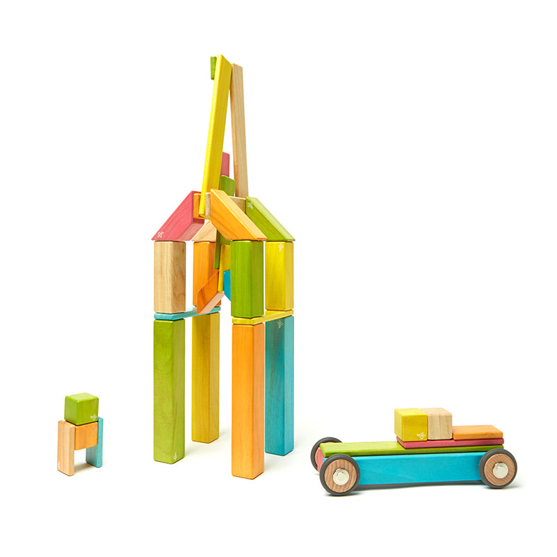 tegu magnetic blocks