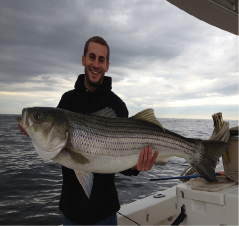 38 pound Striper caught in 2012 by Ryan Bennett