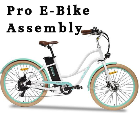 pro e-bike assembly