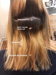 hair coloiur banding