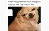 Proves you right