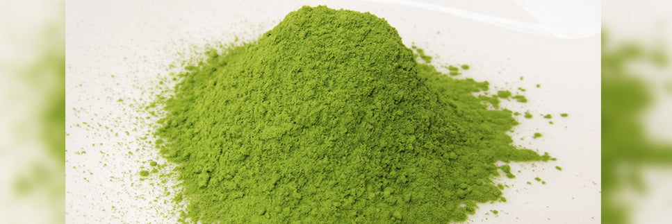 Matcha Powder – How To Tell Good Matcha Powder From The Bad