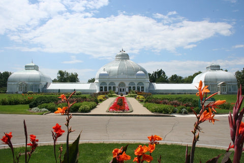 Image result for buffalo and erie county botanical gardens
