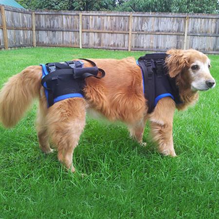 back harness for dogs
