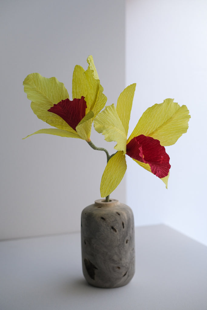 crepe paper orchid