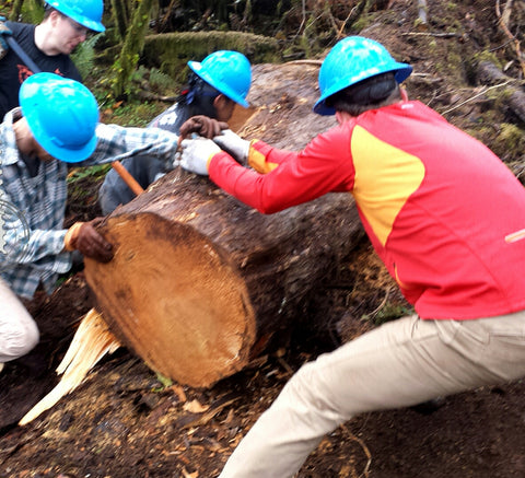 Trail heroes in blue hard hats moving a giant old-growth round out of the way