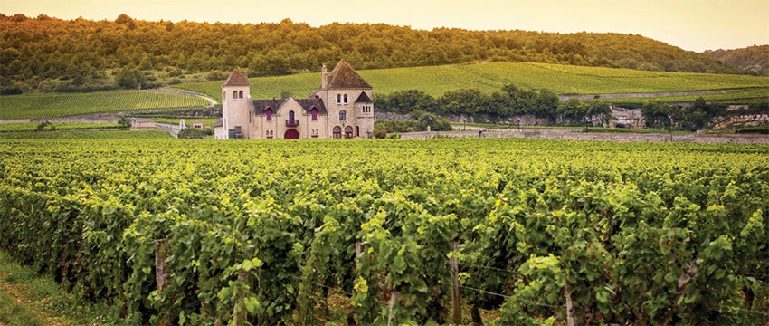 burgundy wine region geology