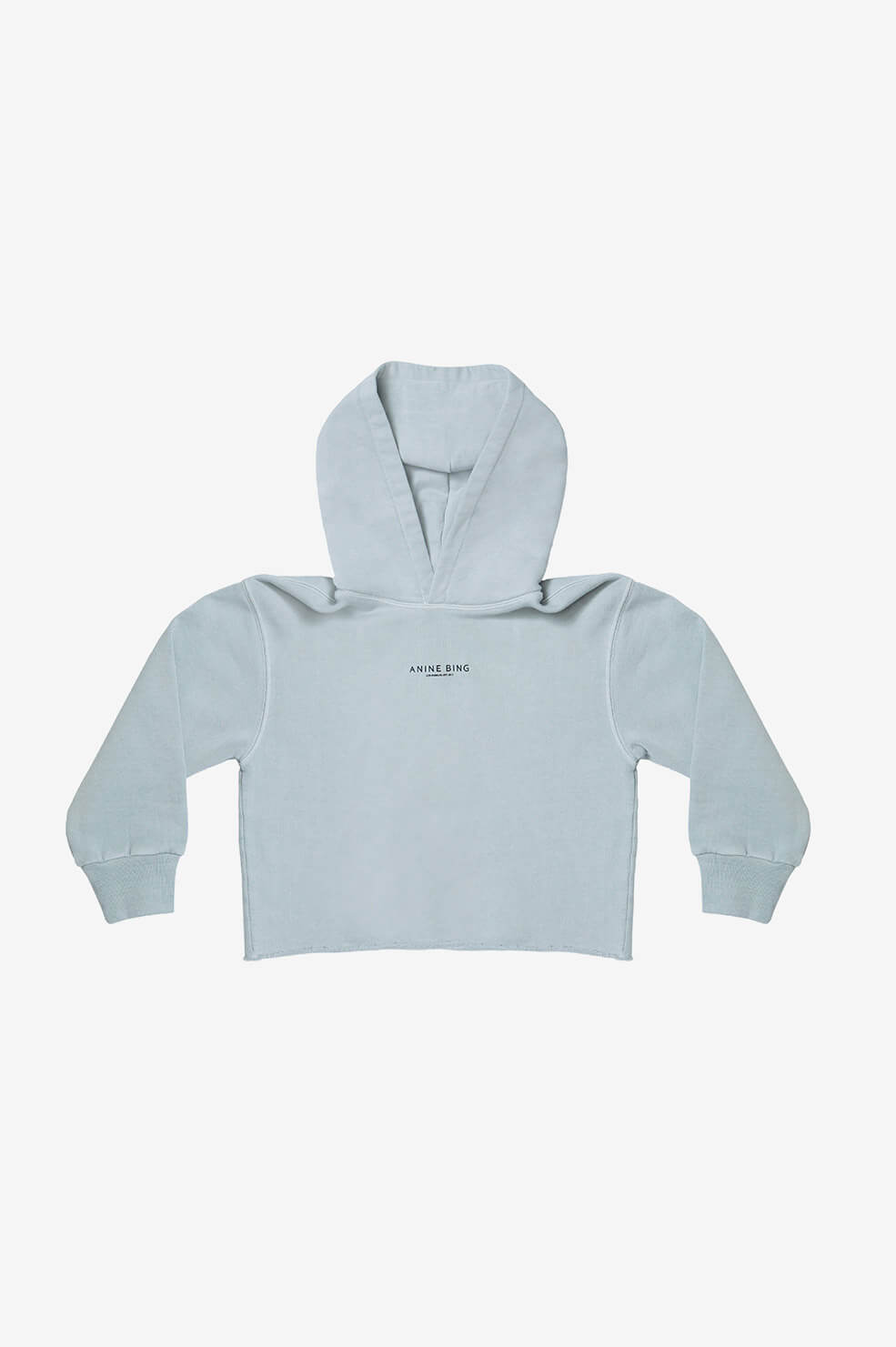 mint green hoodie kids