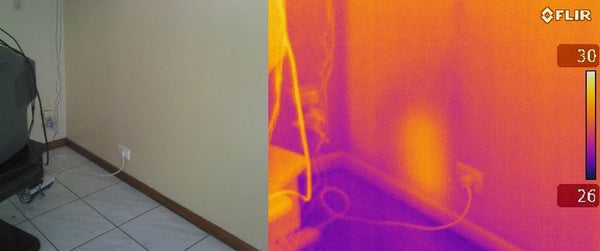 Termite packing in wall thermal image
