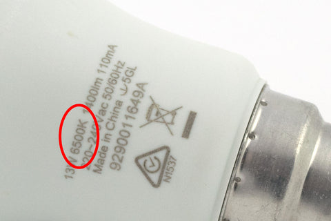Colour temperature written on back of bulb