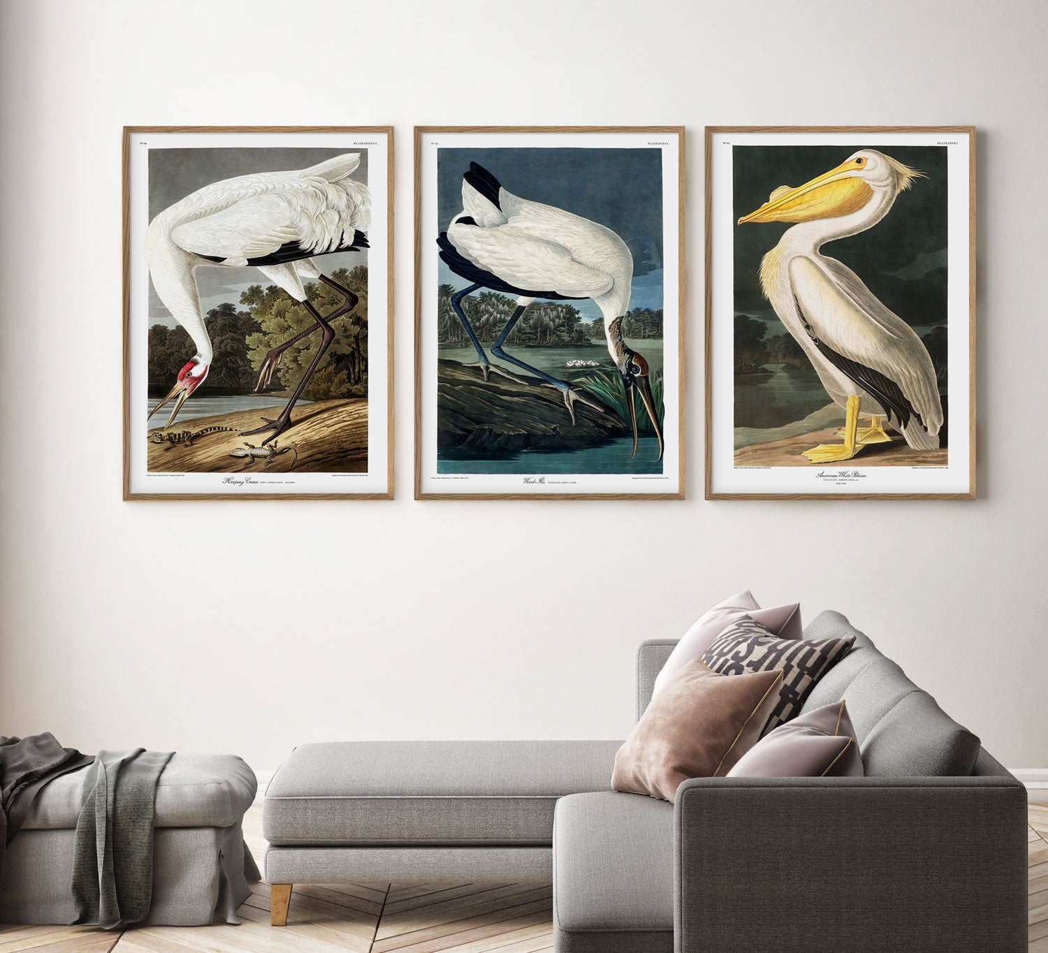 John James Audubon Velvet Duck,Framed Prints,wall art prints,large wall art oversized,The Birds of America,f1951