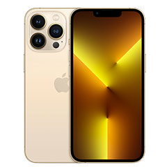 buy iPhone 13 Pro cases & accessories online