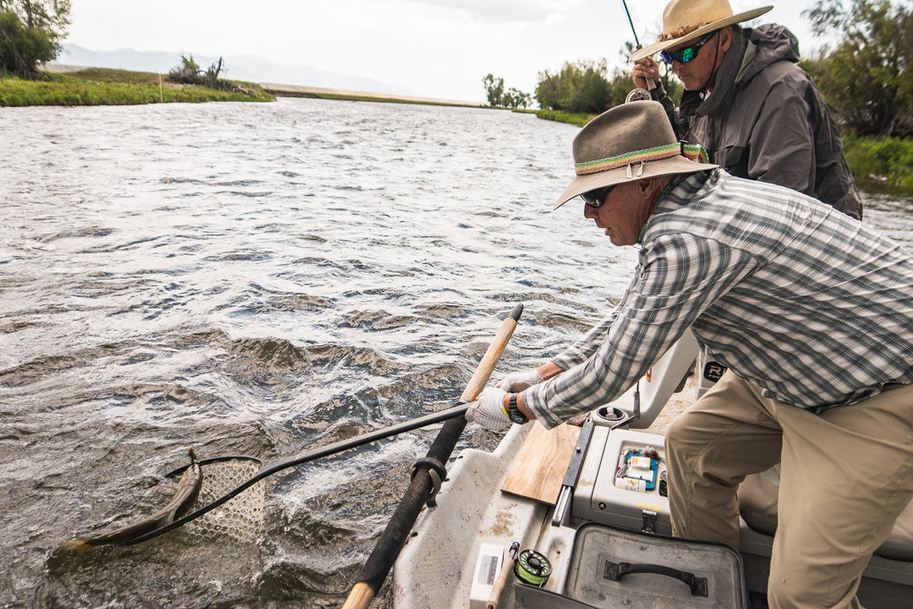 Netting Fish