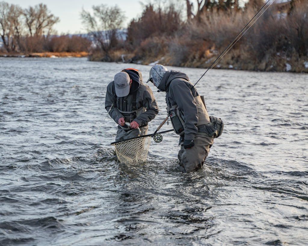 Catch and Release Fishing