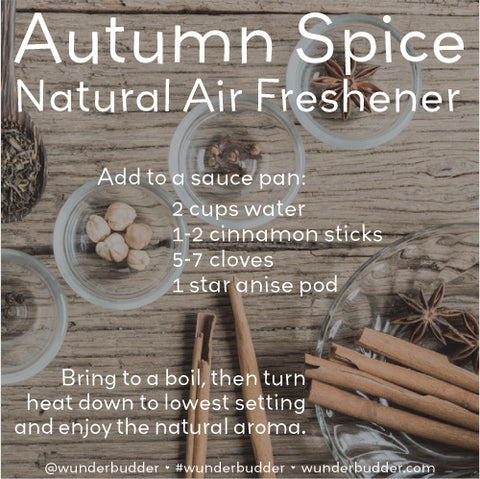 Autumn Spice Natural Air Freshener