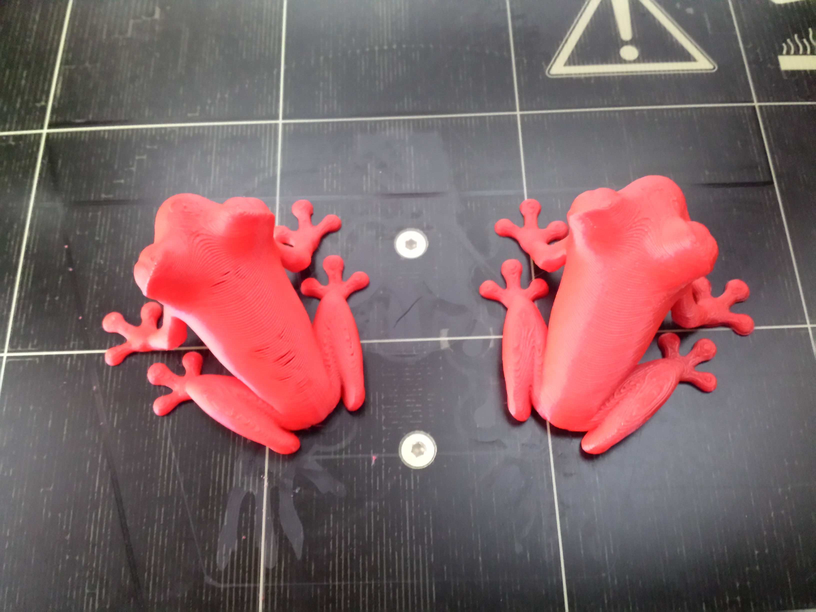 Picture of Treefrog comparison between two prints with Prusa i3 MK2 3D printer