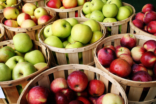 Fun Fall Activities - Apple Picking