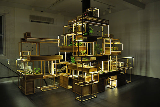 NYCxDesign - Plant-In City