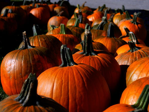 Fall is Good for Your Health = Pumpkins