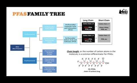 PFAS Family Tree
