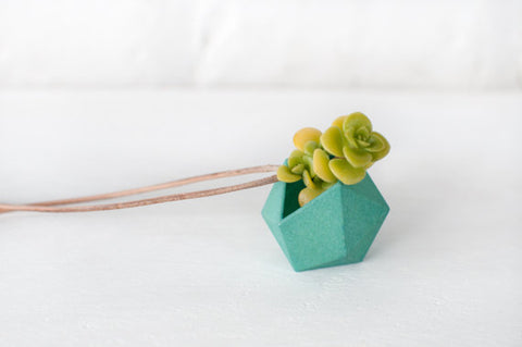 Geometric wearable planter