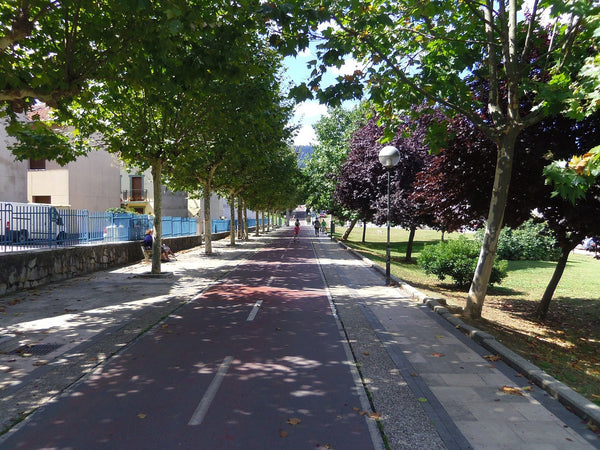 Biking in hot weather: Shade